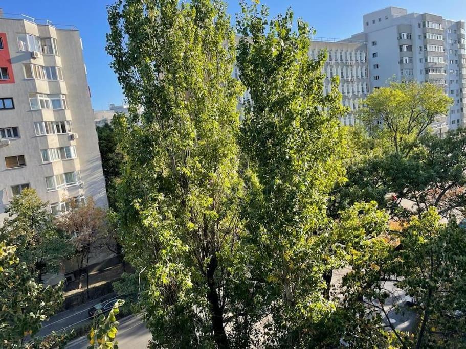 Mav Bucharest Lägenhet Exteriör bild