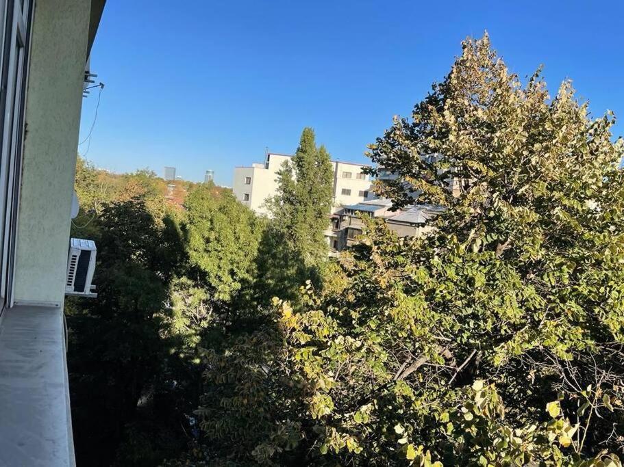 Mav Bucharest Lägenhet Exteriör bild